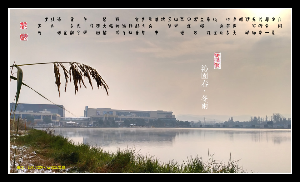 沁園春·冬雨